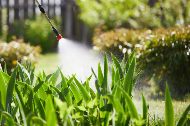 24/7 Emergency Ant Control experts in Green Bay, WI