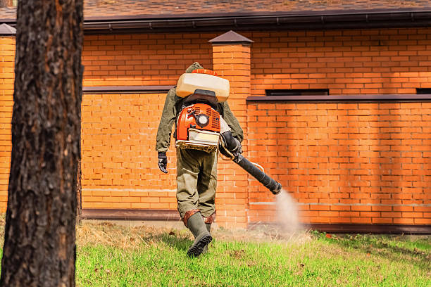 Top rated local Ant Control specialists in Green Bay, WI
